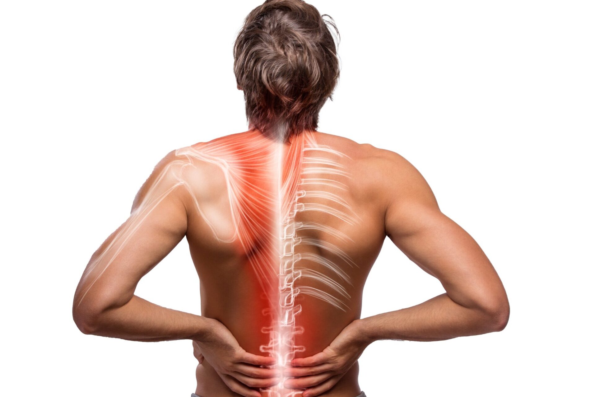 Personal trainer supporting client with lower back injury rehab – recovery and mobility training in Islington.