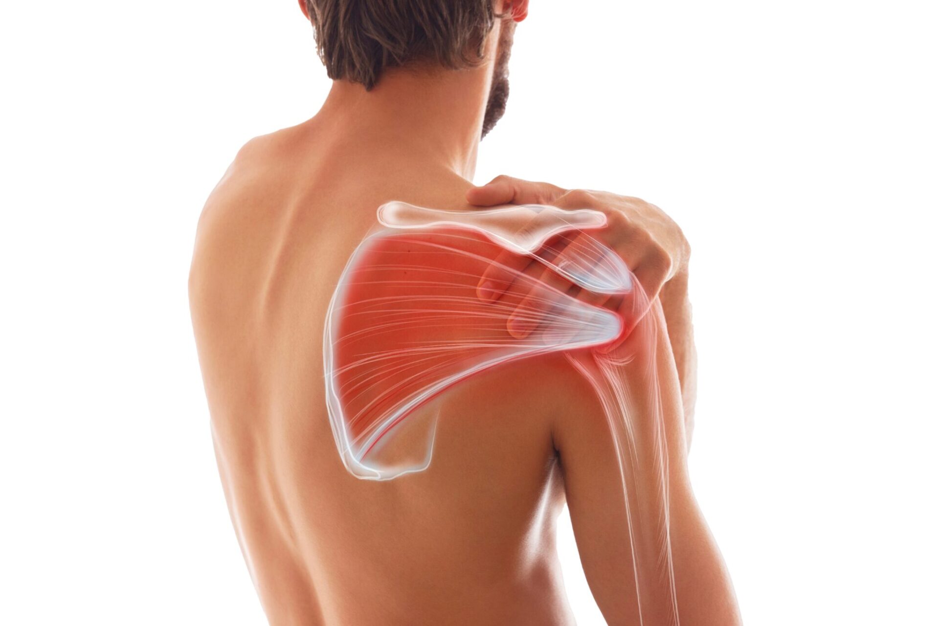 Lower back injury rehab and recovery with personal training in Islington studio